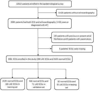Frontiers | Detection of Left Atrial Enlargement Using a